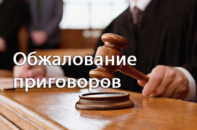 Как подать апелляцию на решение суда: образец жалобы, срок обращения ...